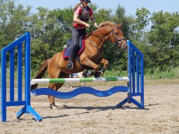 dsc05649_web